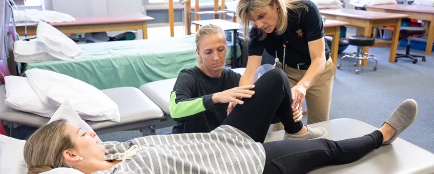 does flagler college have a physical therapy program