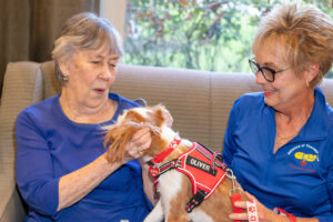Alliance of Therapy Dogs