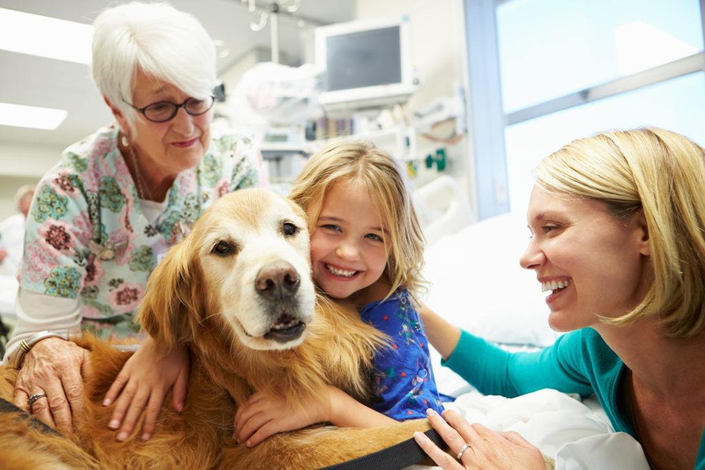 Alliance of Therapy Dogs
