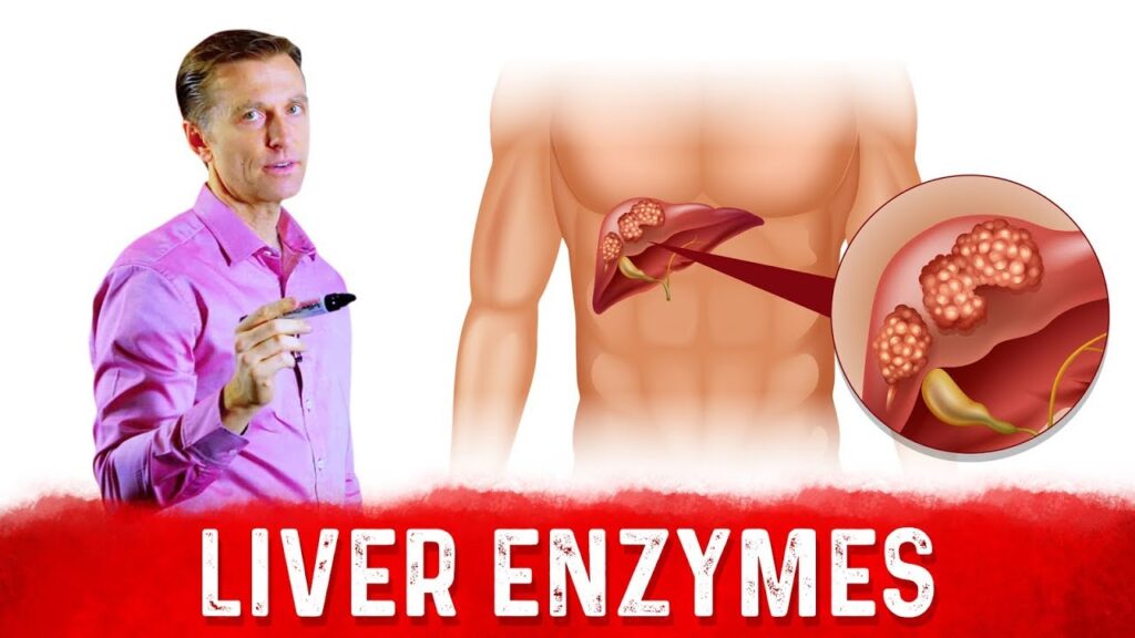 Can Stress Cause Elevated Liver Enzymes?